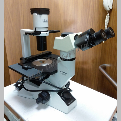 CKX41SF 顯微鏡